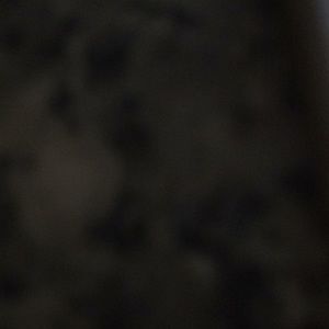 Meet your Posher, Gshshv